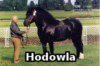 Hodowla