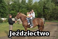 Jeździectwo