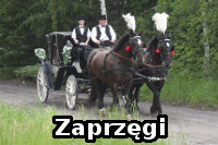 Zaprzęgi